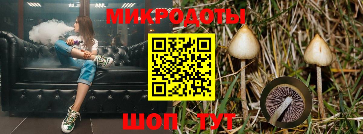 Галлюциногенные грибы GOLDEN TEACHER Лысьва